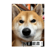 855793480