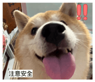 855793481