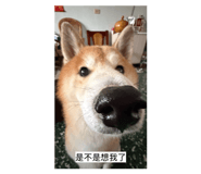 855793483