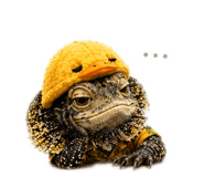 855793572