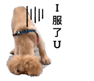855794422