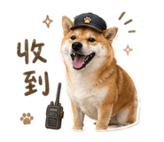 855794801