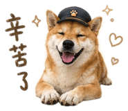 855794802