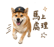 855794804