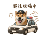 855794806