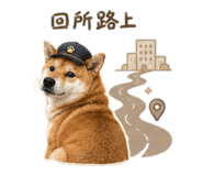 855794808
