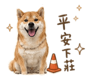 855794809