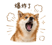 855794810