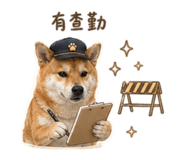 855794813