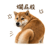 855794814