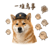 855794816