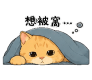 855794858
