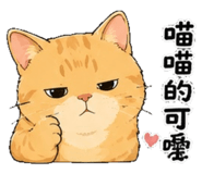 855794865