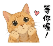 855795177