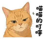 855795185