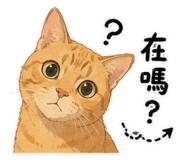 855795189