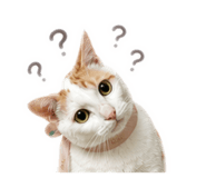 855796302