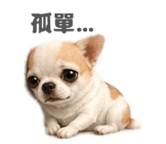 855797690