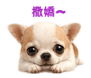 855797692