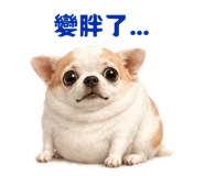 855797693