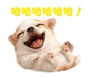 855797694