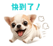 855797697