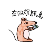 855800159