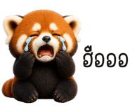 855800654
