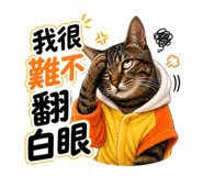 855800840