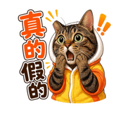 855800843