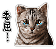 855801260