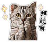 855801266