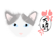 855801365