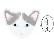 855801368