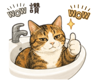 855801558