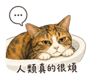 855801577