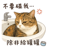 855801582