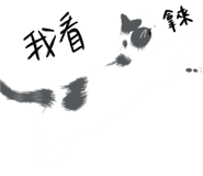 855801961