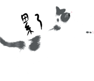 855801968