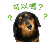 855802668