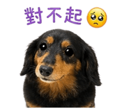 855802669