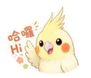 855803009