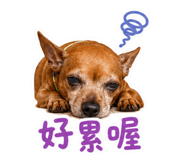 855803502