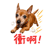 855803504