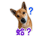 855803516