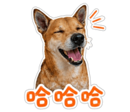 855803517