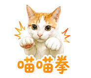 855803521
