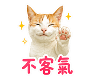 855803523
