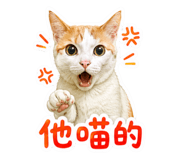 855803526