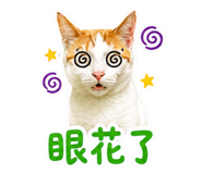855803528